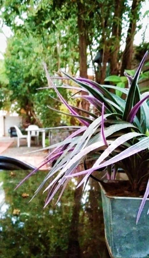 Aandrus Guesthouse Bloemfontein Bagian luar foto