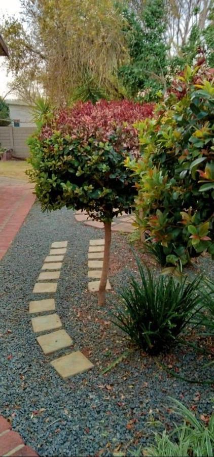 Aandrus Guesthouse Bloemfontein Bagian luar foto